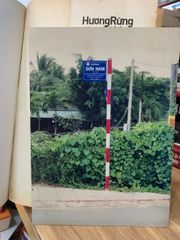 Hương rừng Cà Mau - Sơn Nam - ảnh 5