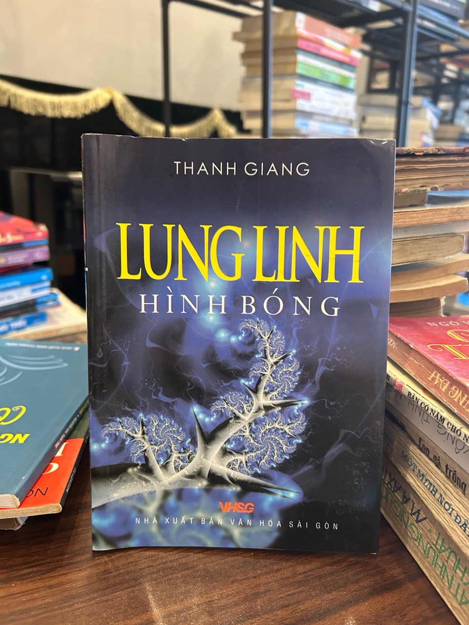 Lung linh hình bóng- Thanh Giang