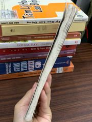 Trần Triều Hưng Đạo Đại Vương trong tâm thức dân tộc Việt – Hồ Đức Thọ - ảnh 3