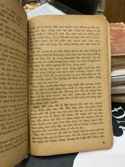 Bài Học Thiên Nhiên - Những Chiêm Nghiệm Sâu Sắc Từ Thế Giới Tự Nhiên của Vũ Kim Dung - ảnh 5