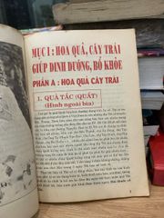 Hoa quả món ăn thay thuốc tập 1 -Nguyễn Văn Hoàn - ảnh 4