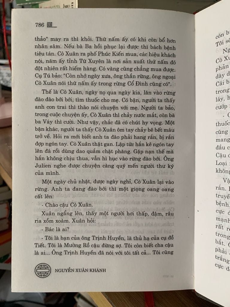 Mẫu Thượng Ngàn -Nguyễn Xuân Khánh - Ảnh thực tế 5