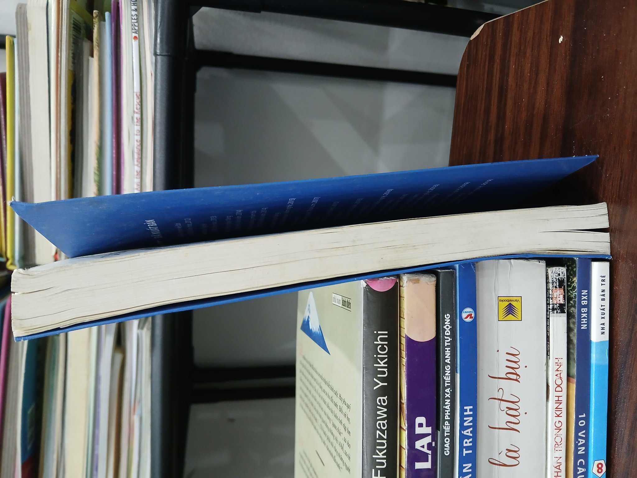 Cá chép hóa rồng – Phạm Quốc Toàn