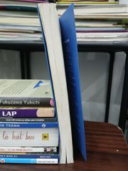 Cá chép hóa rồng – Phạm Quốc Toàn - ảnh 4