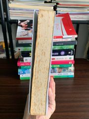 Công tử vô sỉ tập 3– Duy Hoà Tống Tử - ảnh 4