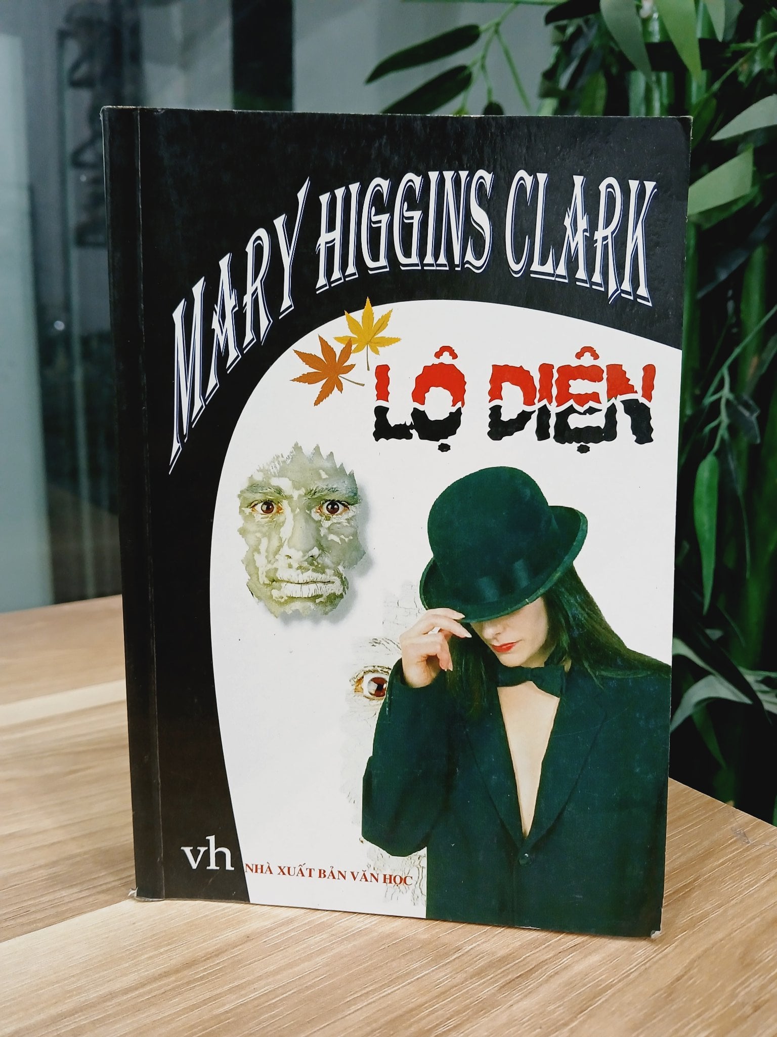 Lộ Diện- Mary Higgins clark