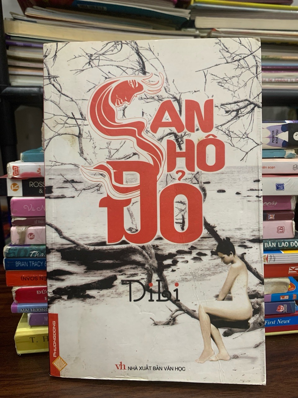 San hô đỏ – Dili