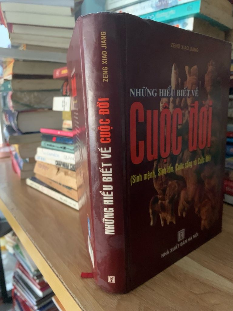 Những hiểu biết về cuộc đời -Zeng Xiao Jiang - Ảnh thực tế 3