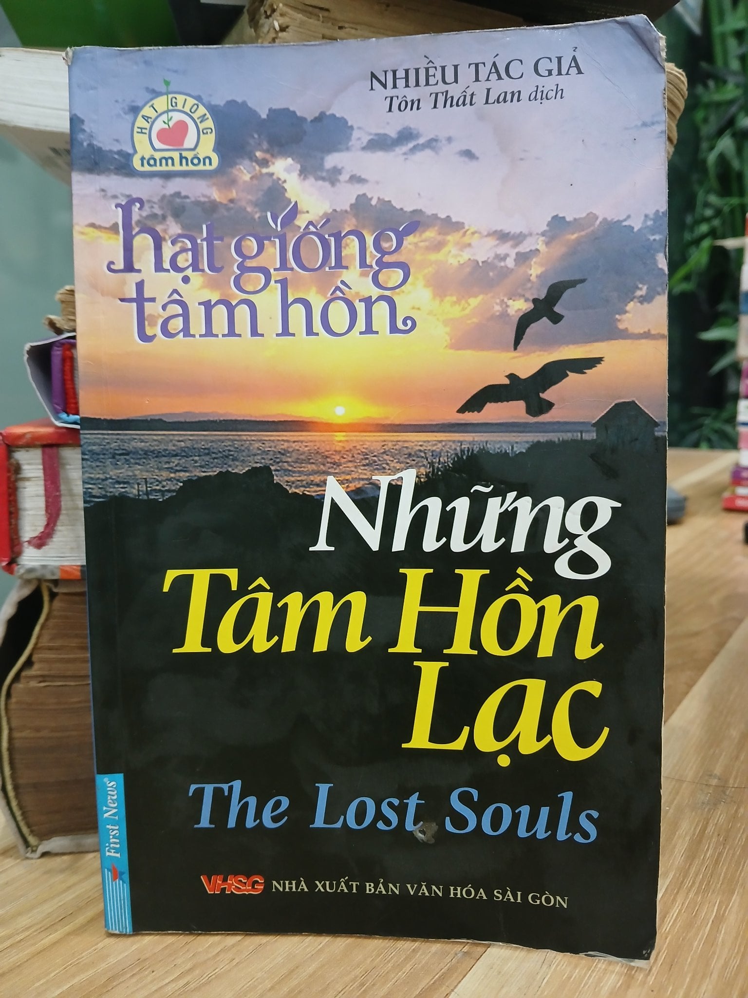 Những tâm hồn lạc- hạt giống tâm hồn- nhiều tác giả