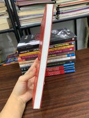 Kỳ vọng của mẹ bồi dưỡng con thành tài — Ngạn Thu - ảnh 3