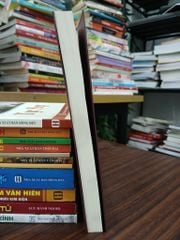 Đại Nam Văn Hiến- Huỳnh Uy Dũng - ảnh 4