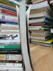 Các loại báo chí thông tấn – Đinh Văn Hướng - ảnh 4
