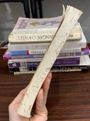 Chân dung thiếu phụ – Nhiều tác giả - ảnh 4