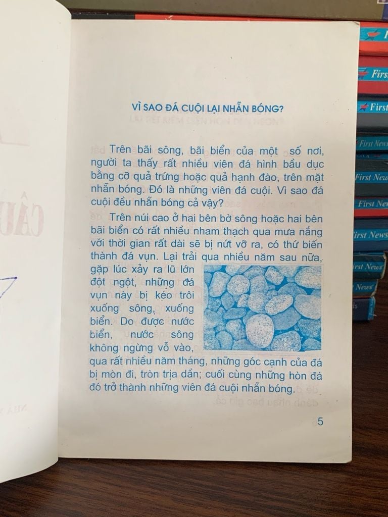 10 vạn câu hỏi vì sao- NXB Văn hoá thông tin - Ảnh thực tế 4