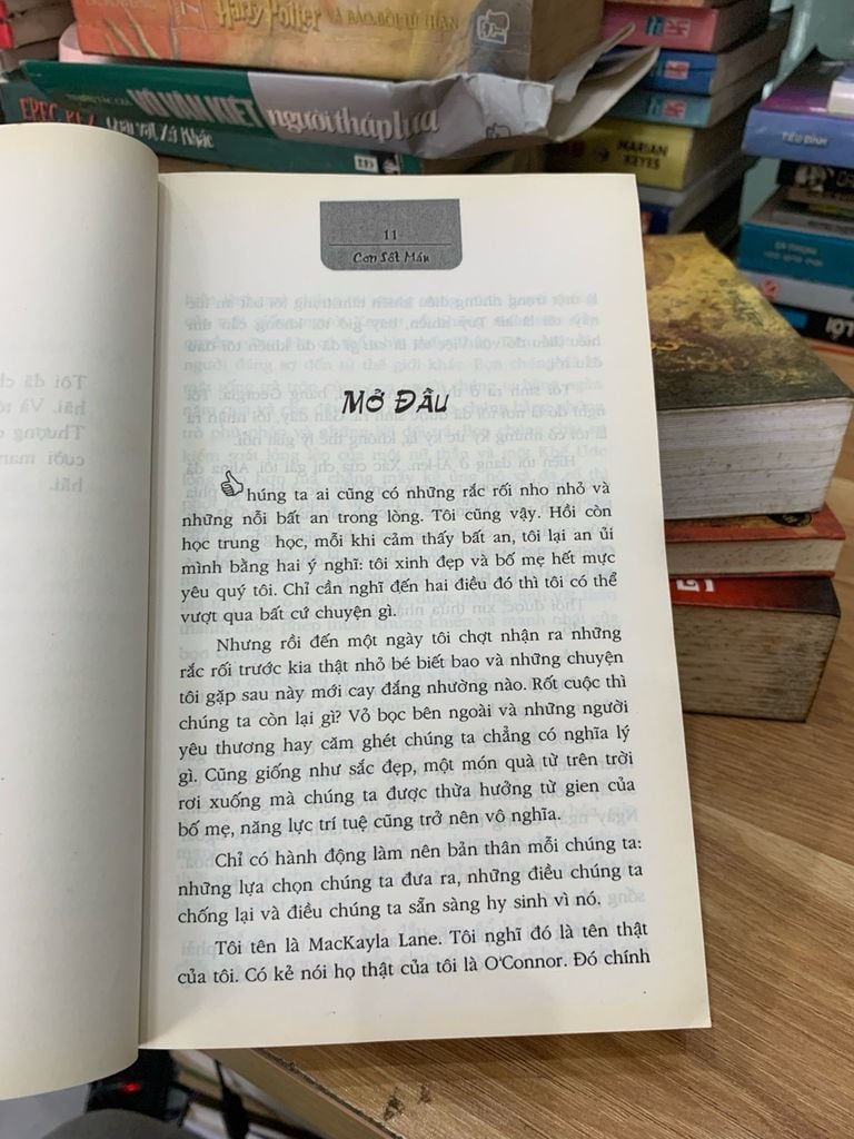 Cơn sốt máu -Karen Marie Moning - Ảnh thực tế 4