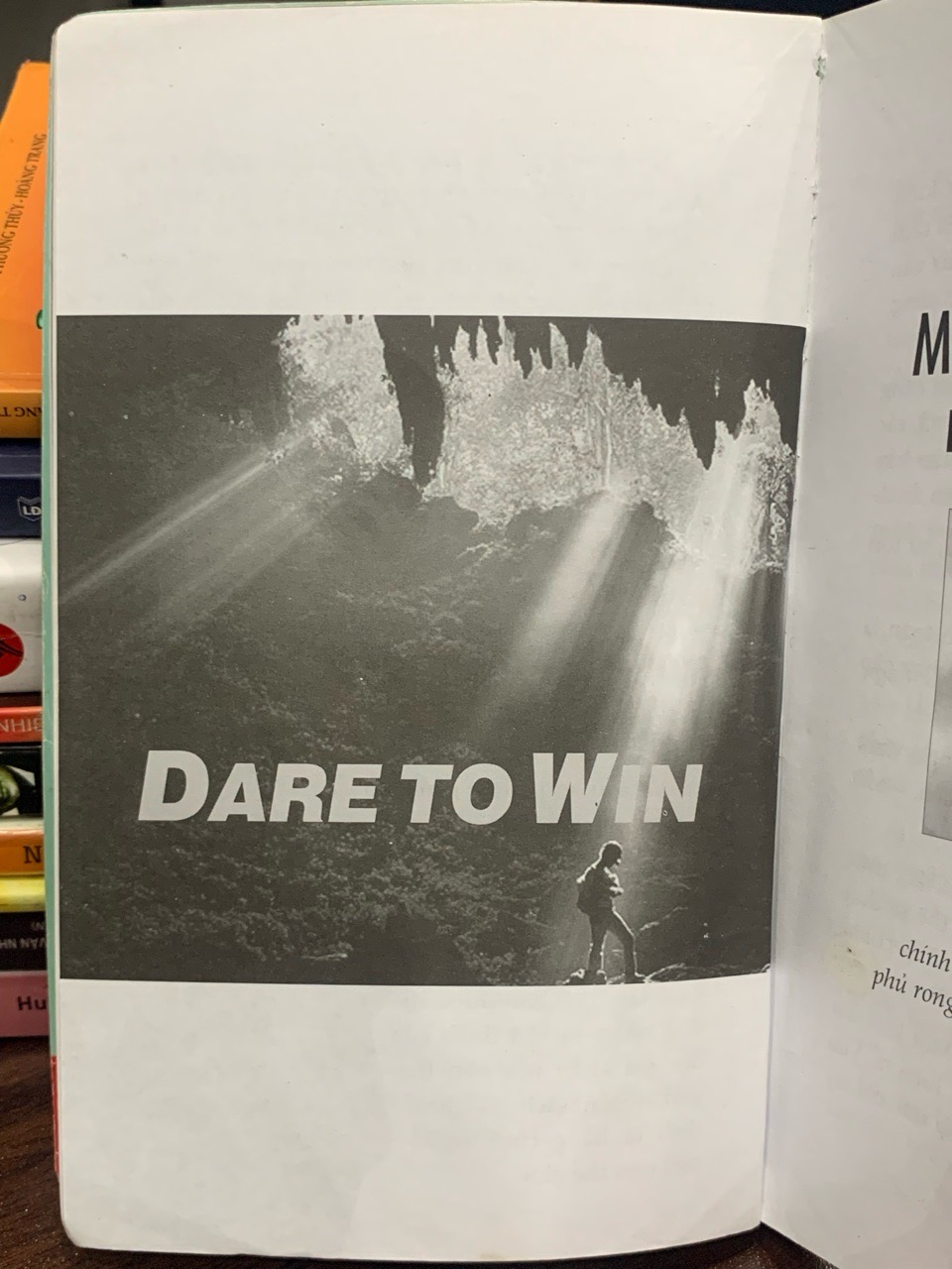 Dare to win – Dám thành công – First News
