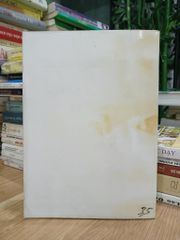 Tiểu đoàn 19 – Bước đi lịch sử – (Nhiều tác giả) - ảnh 2