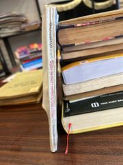 Tiếng vọng từ thung lũng tử thần- Đỗ Kim Cuông - ảnh 2