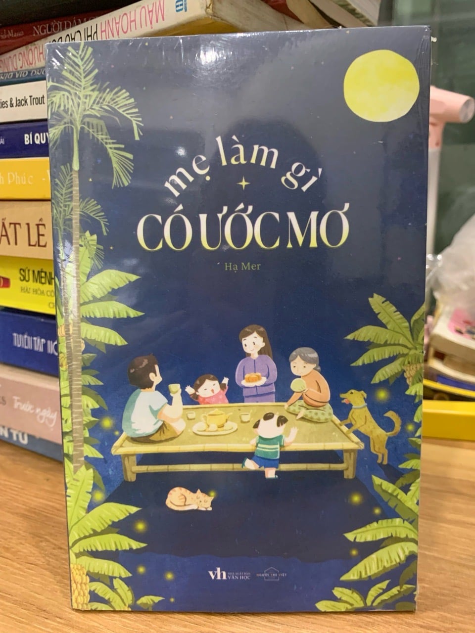 Mẹ làm gì có ước mơ -Hạ Mer