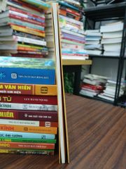 Thi Vịnh Vu Lan Đại Nam- Huỳnh Uy Dũng - ảnh 4