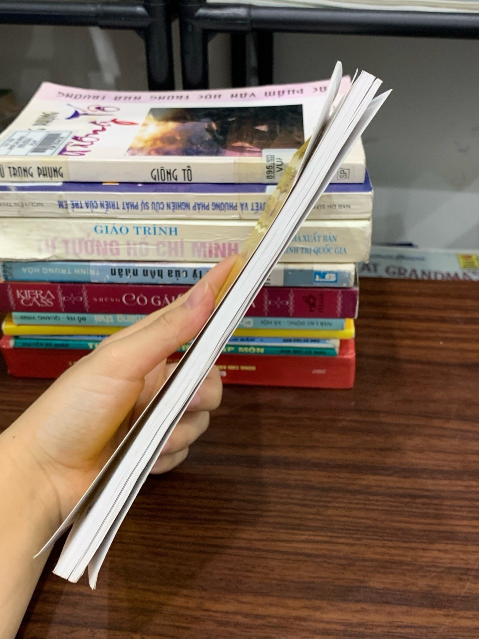 Nhật ký trong tù – Hồ Chí Minh