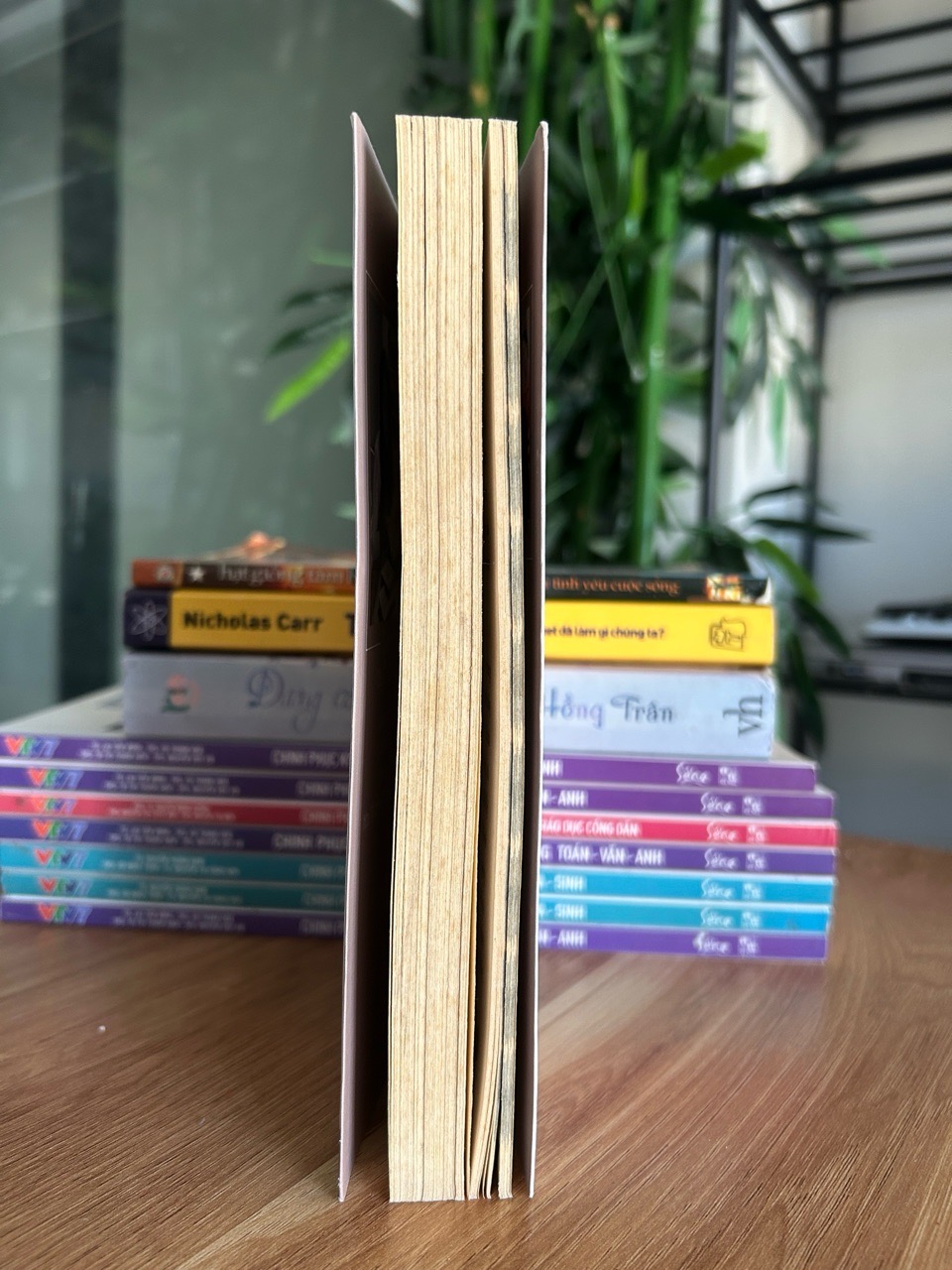 Chúng ta rồi sẽ ổn thôi - Gào – Minh Nhật