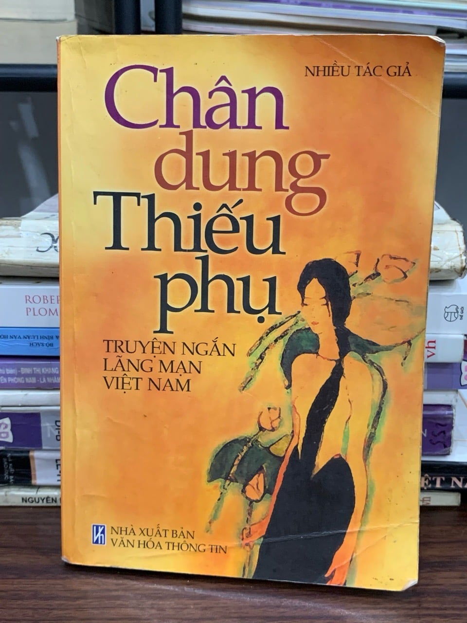 Chân dung thiếu phụ – Nhiều tác giả