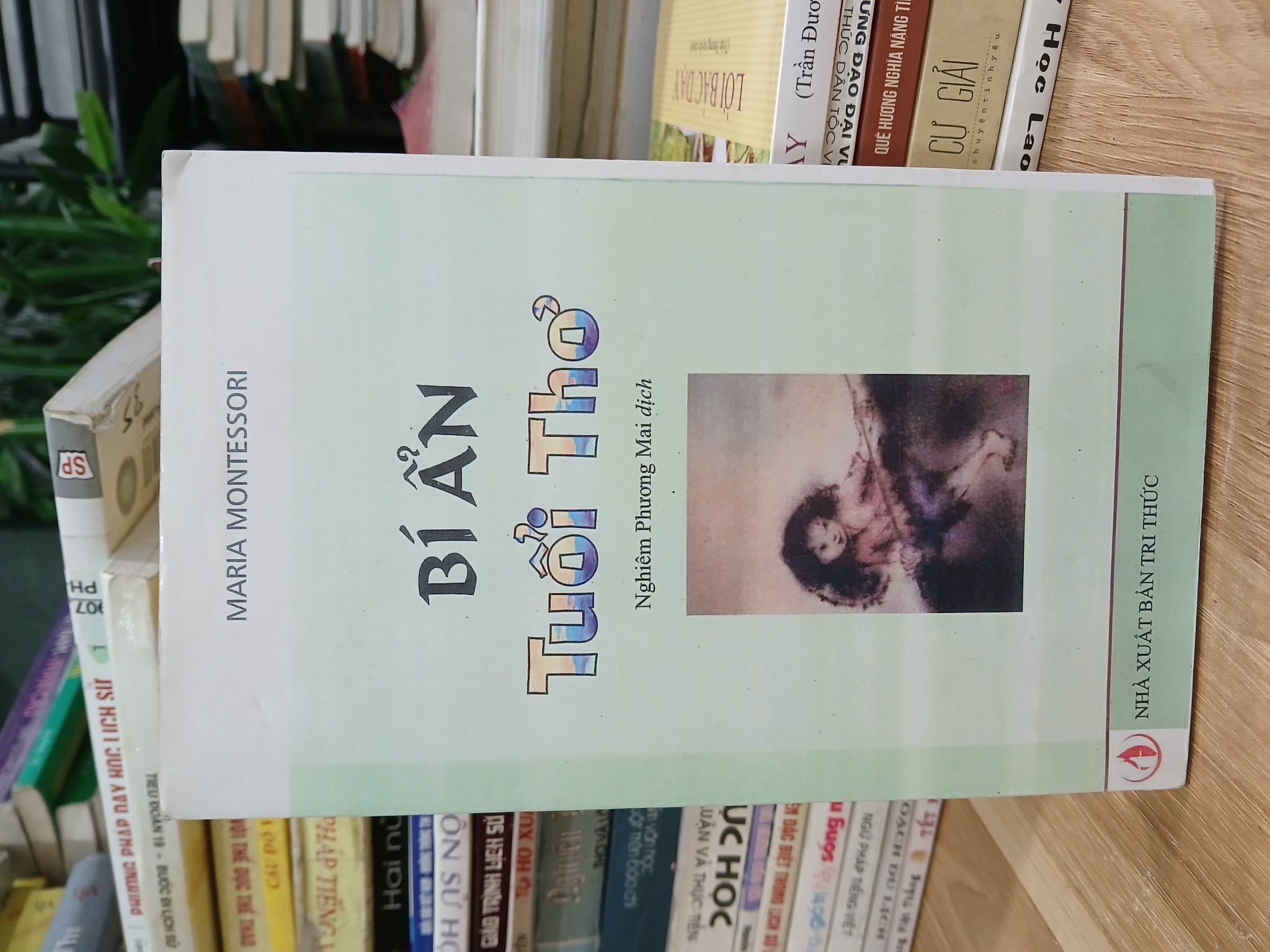 Bí ẩn tuổi thơ – Maria Montessori