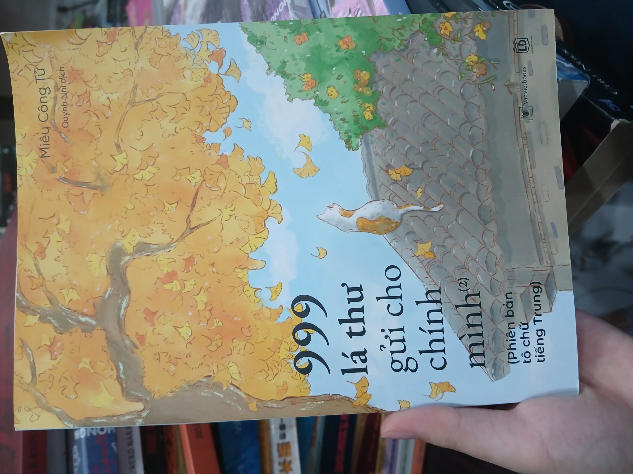 999 lá thư tình gửi cho chính mình 2