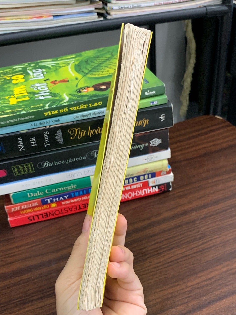 Truyện cổ tích Việt Nam – Hoàng Quyết