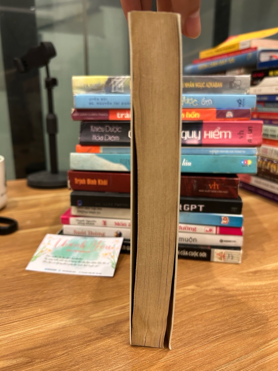 Không gì ngăn cách nổi tình yêu – Hàn Băng Vũ