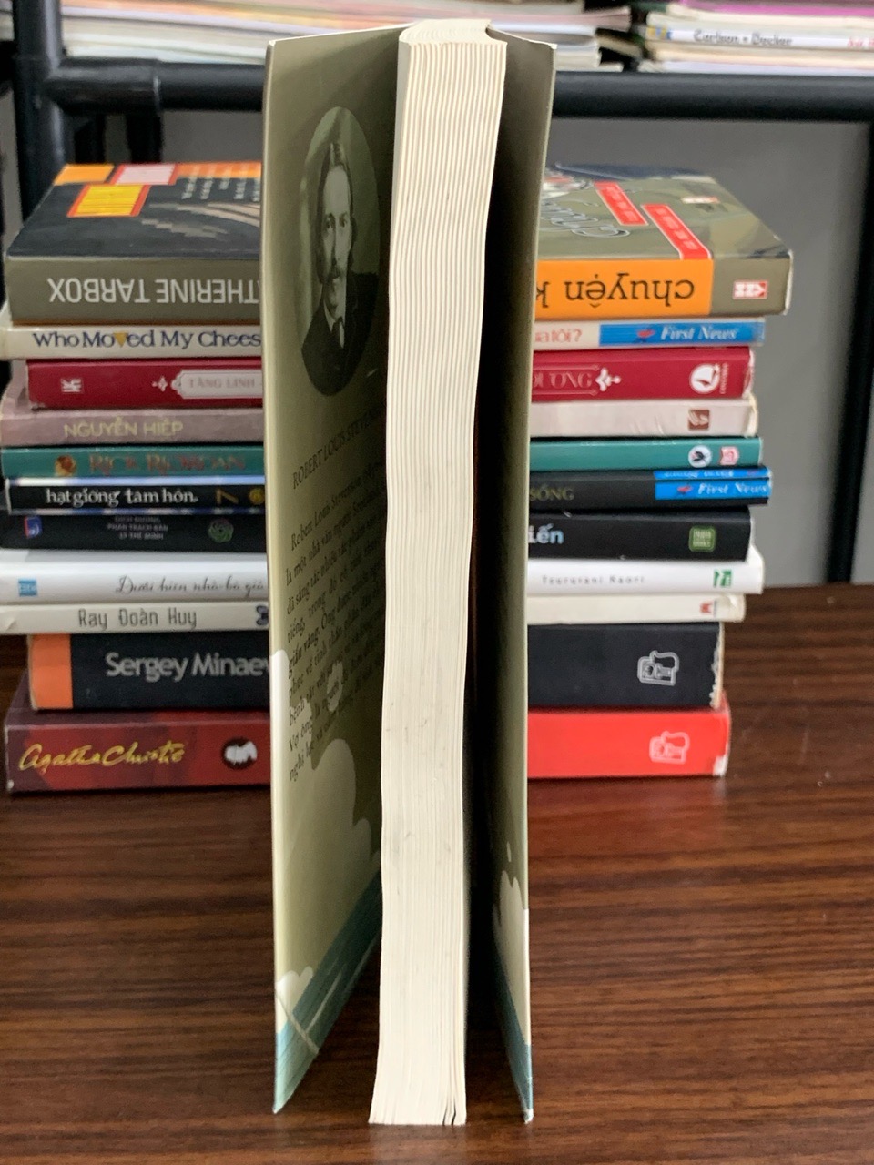 Đảo giấu vàng – Robert Louis Stevenson