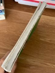 Các món ăn dân dã từ gạo nếp – Tứ Trang, Nguyễn Thị Phụng - ảnh 3