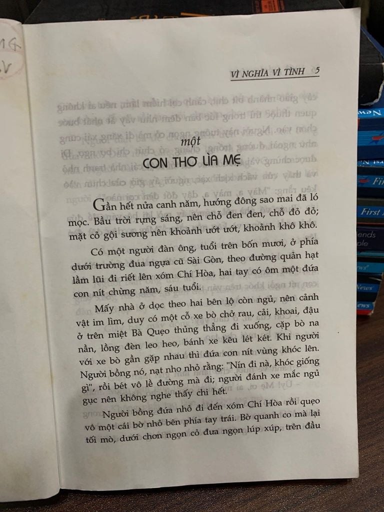 Vì nghĩa vì tình- Hồ Biểu Chánh - Ảnh thực tế 4