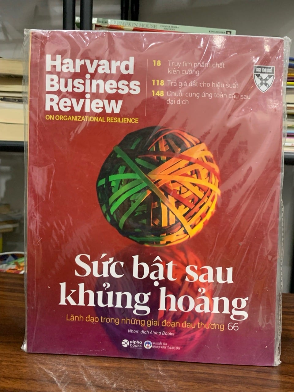 Sức bật sau khủng hoảng- Alpha Books