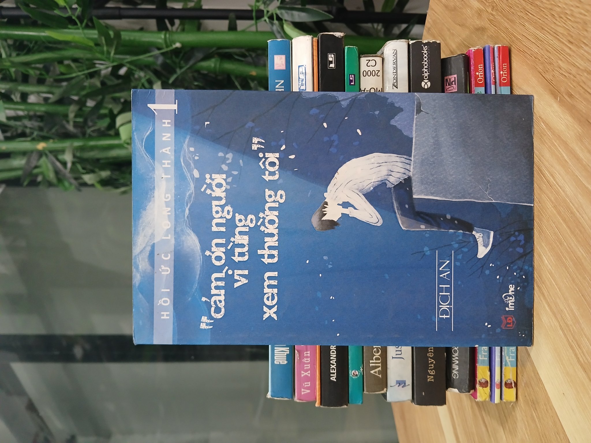 Cám ơn người vì từng xem thường tôi – Địch An