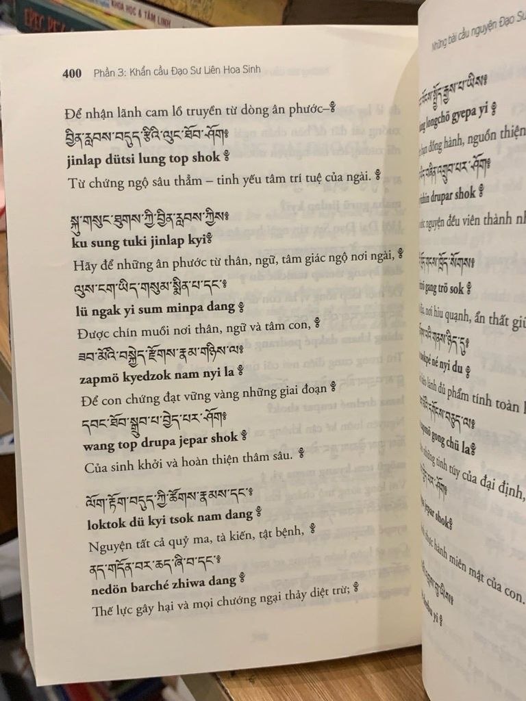 Theo chân đạo sư đức liên hoa sinh ở Nepal tập 1 - NXB Tôn giáo - Ảnh thực tế 5