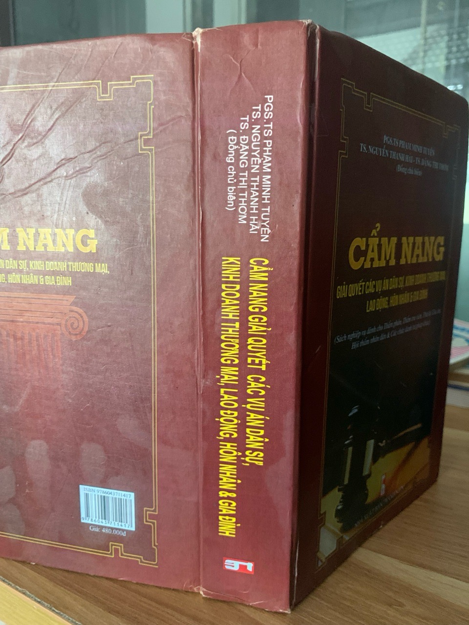 Cẩm nang giải quyết các vụ án dân sự ,kinh doanh thượng mại lao động, hôn nhân và gia đình -NXB Thanh Niên
