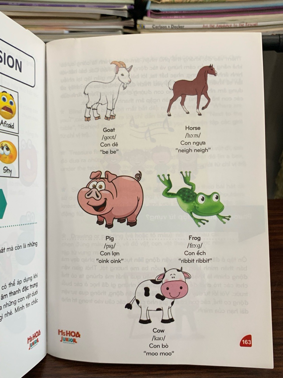 Đồng hành tiếng Anh cùng con – Ms Hoa Junior (IMAP Books)