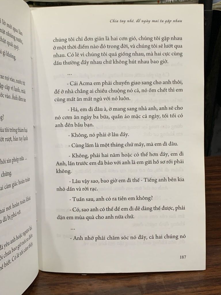 Bên nhau ngày yêu - NXB Kim Đồng - Ảnh thực tế 5