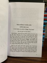 Á Hậu "Lọ Lem"- Lê Thy Bình - ảnh 4