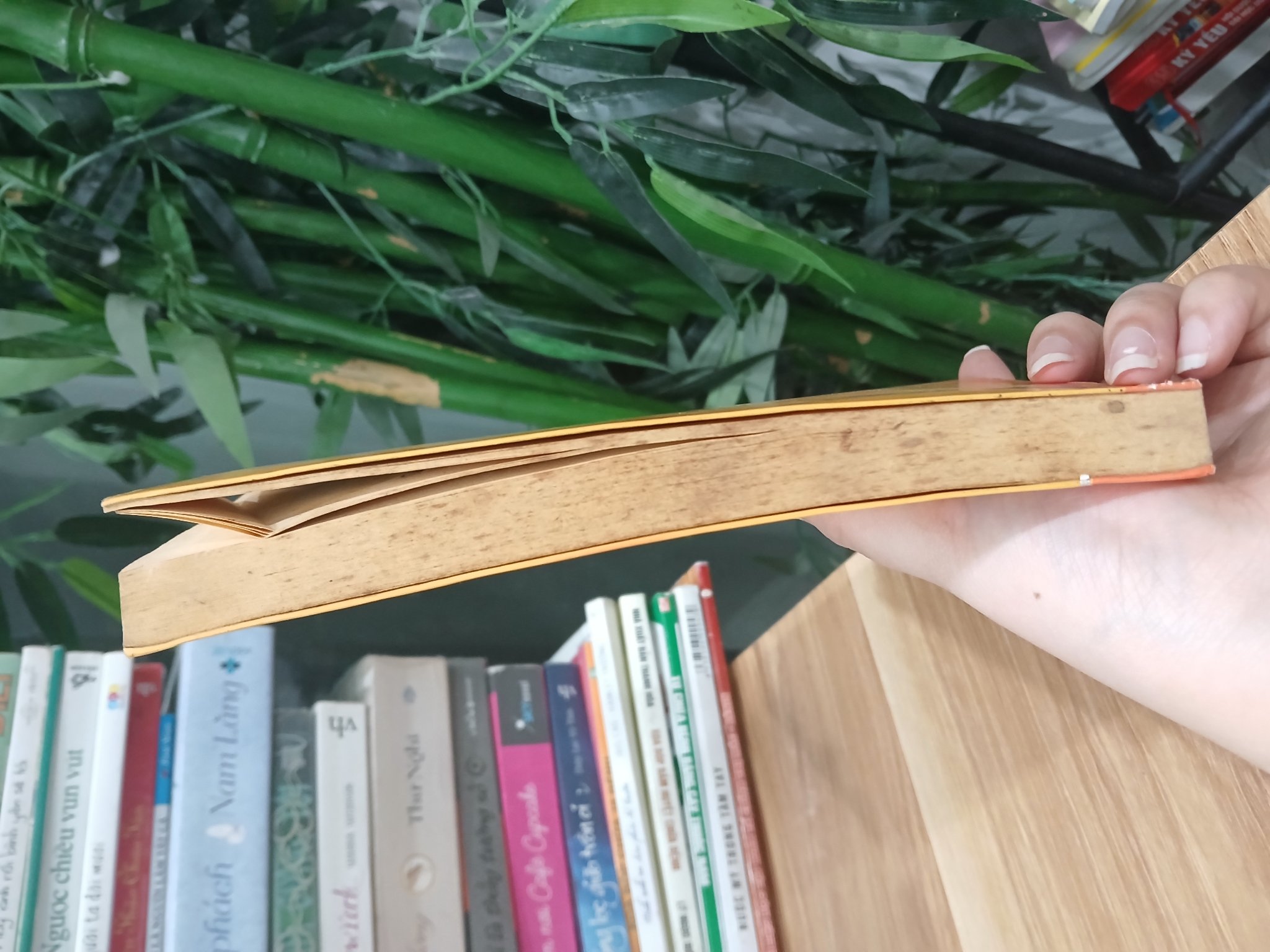 Đừng Tháo Xuống Nụ Cười - Khải Đơn