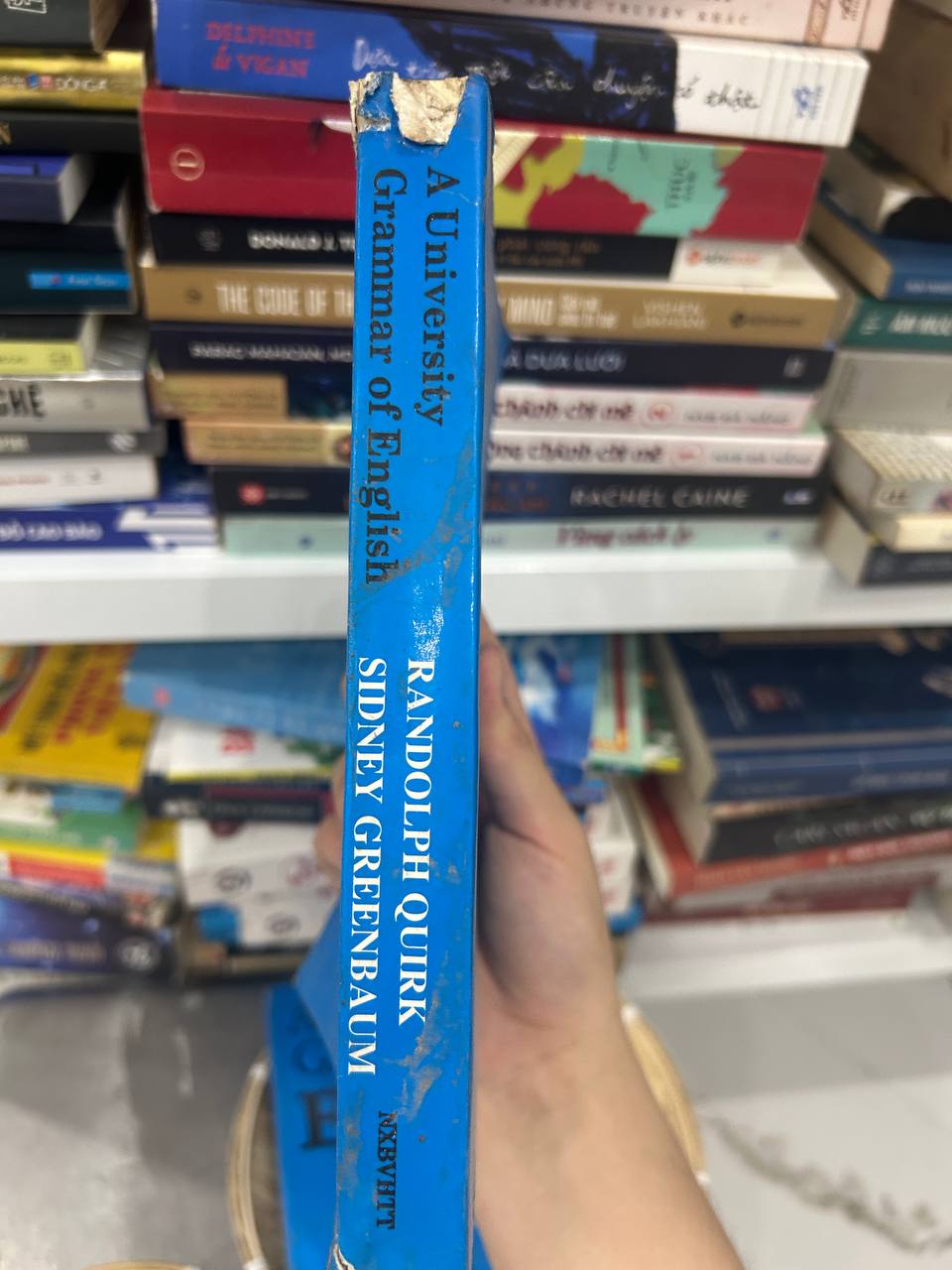 Hình ảnh 2