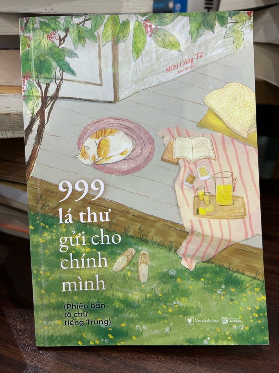 999 lá thư gửi cho chính mình (Phiên bản tô chữ tiếng Trung)