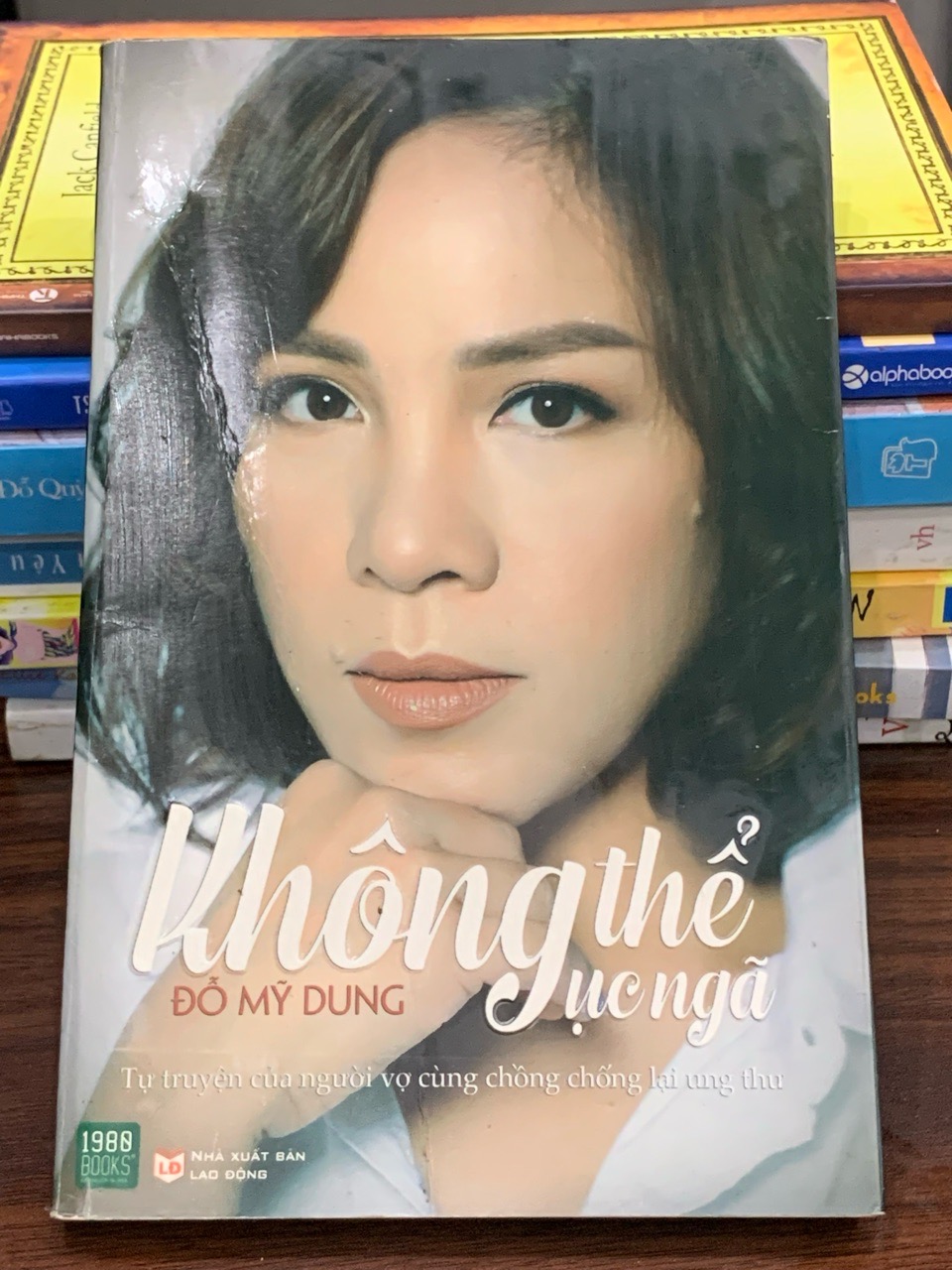 Không thể gục ngã – Đỗ Mỹ Dung