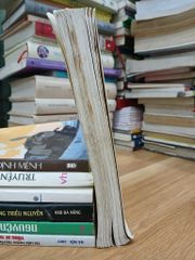 Ngữ pháp tiếng Việt – Nguyễn Hữu Quỳnh - ảnh 4