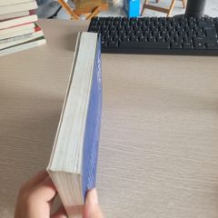 Thời Cơ Vàng Của Chúng Ta – Vương Hồng Tình - ảnh 4
