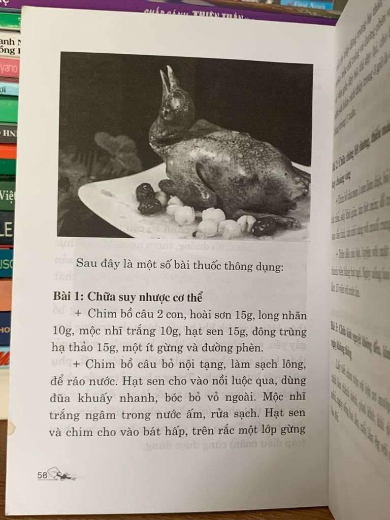 Kỹ thuật nuôi bồ câu – Nguyễn Thị Hồng - Ảnh thực tế 5