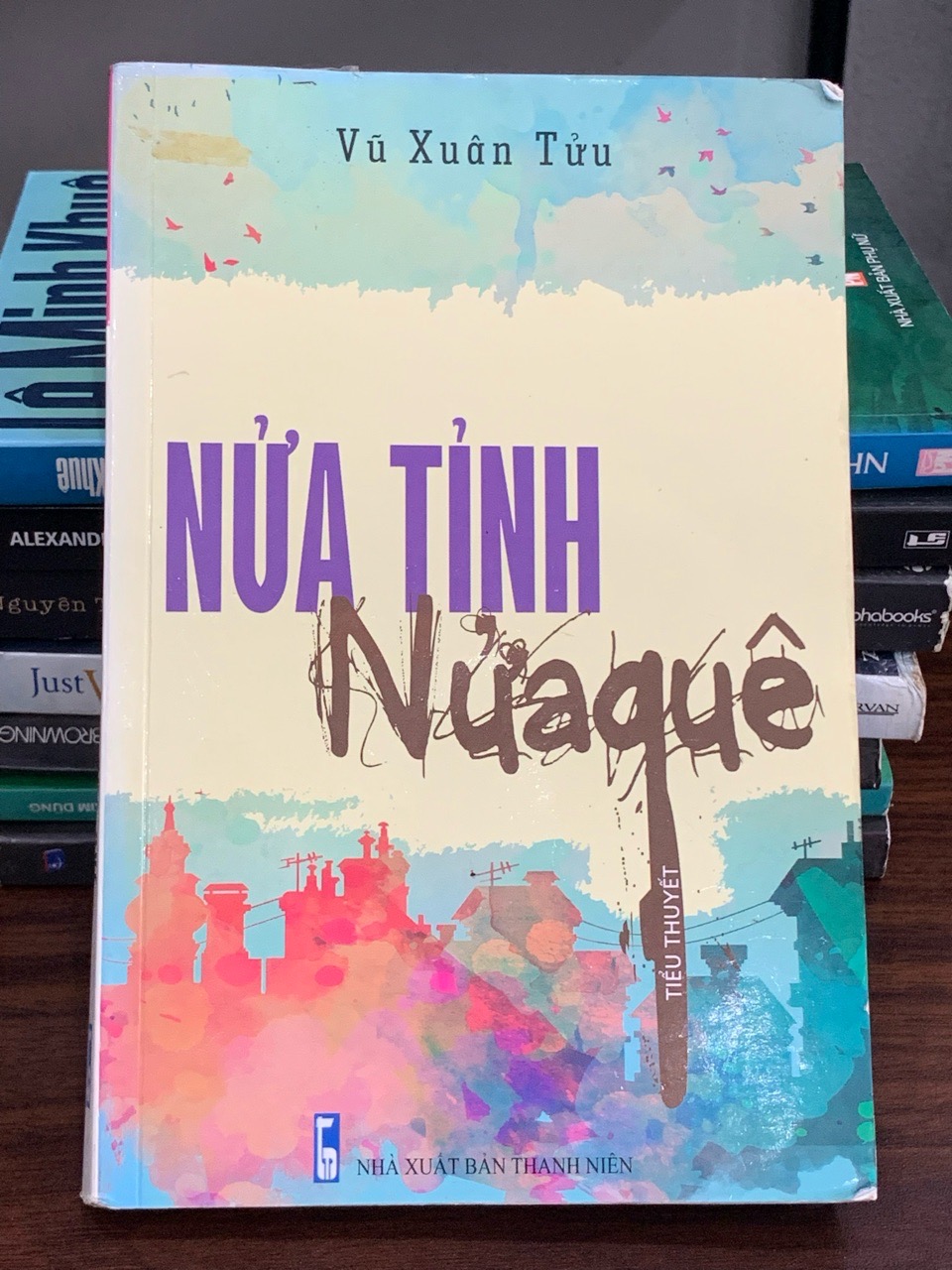 Nửa tình nửa quê – Vũ Xuân Tửu