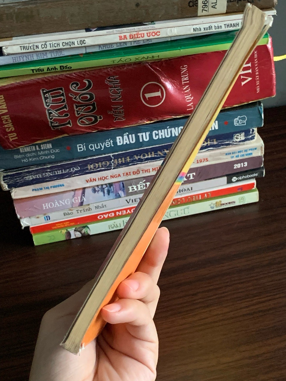 Hình ảnh 3
